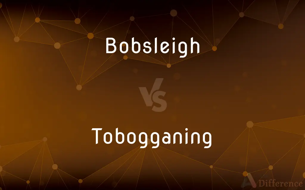 Bobsleigh vs. Tobogganing — What's the Difference?