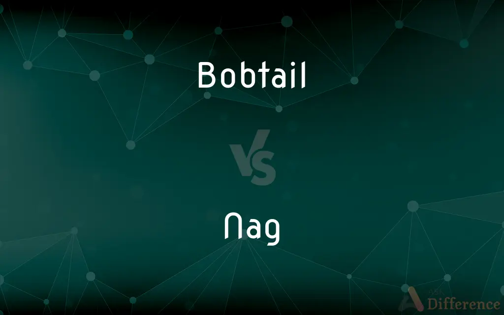 Bobtail vs. Nag — What's the Difference?