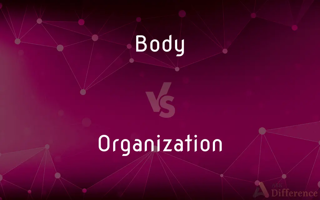 Body vs. Organization — What's the Difference?