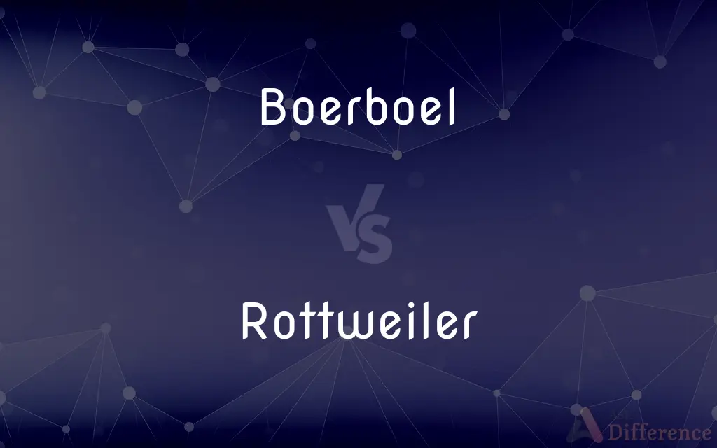 Boerboel vs. Rottweiler — What's the Difference?