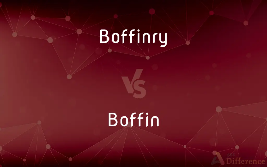 Boffinry vs. Boffin — What's the Difference?