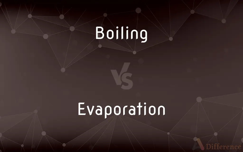 Boiling vs. Evaporation — What's the Difference?