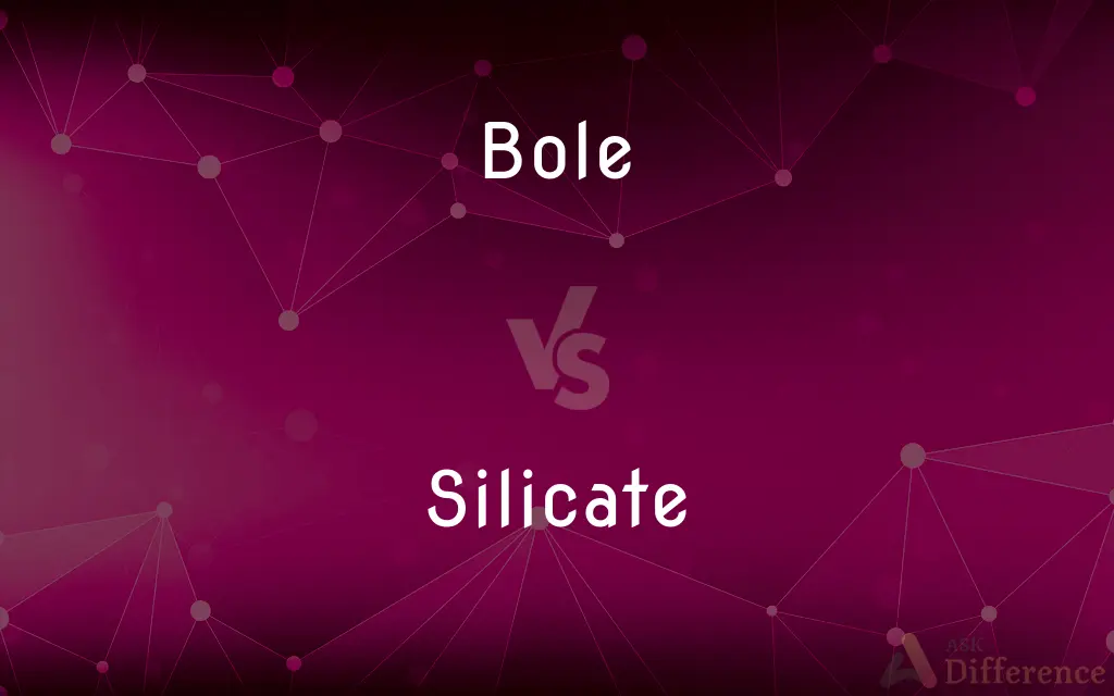 Bole vs. Silicate — What's the Difference?