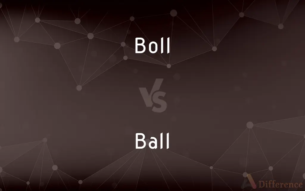 Boll vs. Ball — What's the Difference?