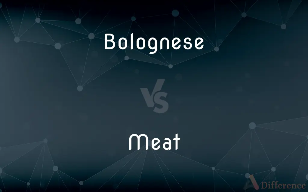 Bolognese vs. Meat — What's the Difference?