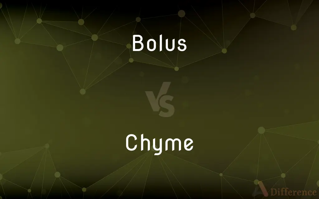 Bolus vs. Chyme — What's the Difference?