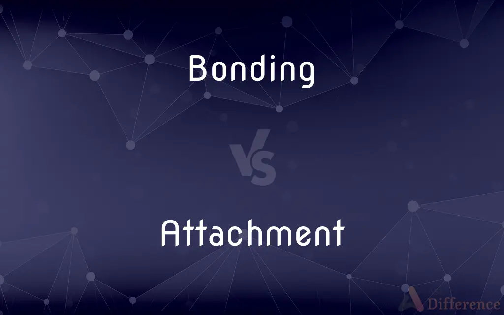Bonding vs. Attachment — What's the Difference?