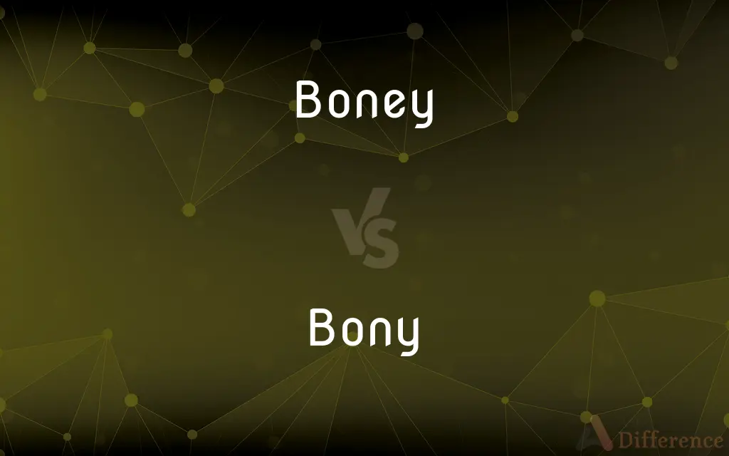 【レアG-RAP】BONEY BONE$