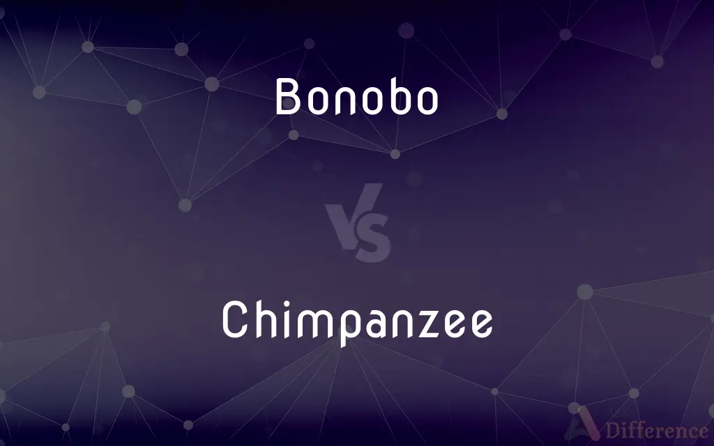 Bonobo vs. Chimpanzee — What's the Difference?