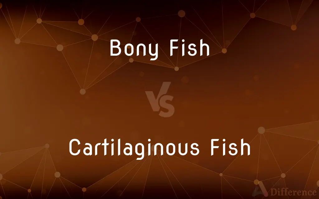 Bony Fish vs. Cartilaginous Fish — What's the Difference?