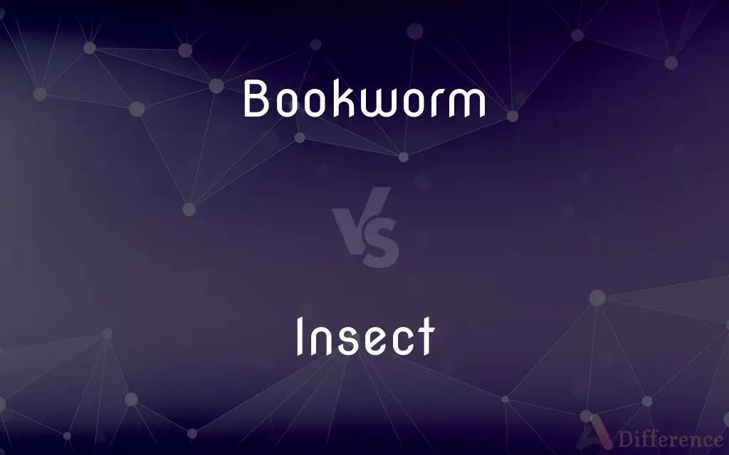 Bookworm vs. Insect — What's the Difference?