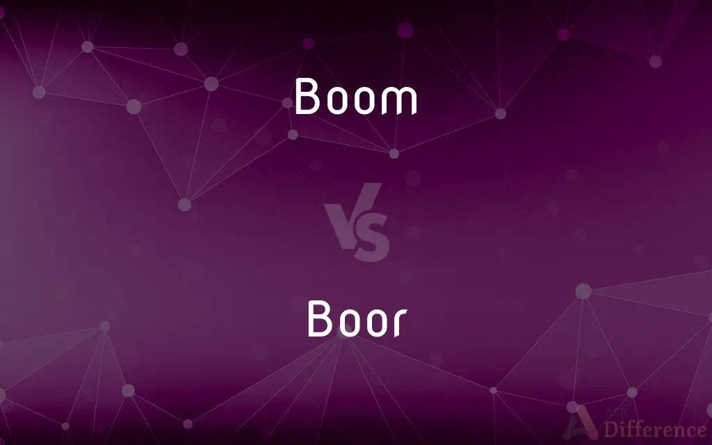 Boom vs. Boor — What's the Difference?