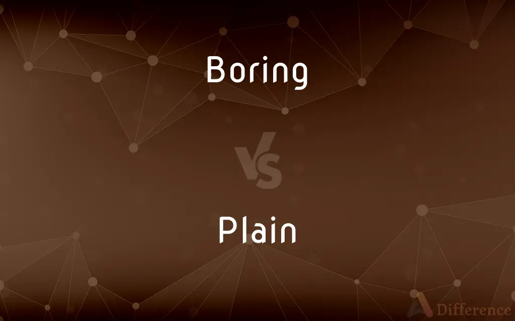 Boring vs. Plain — What's the Difference?