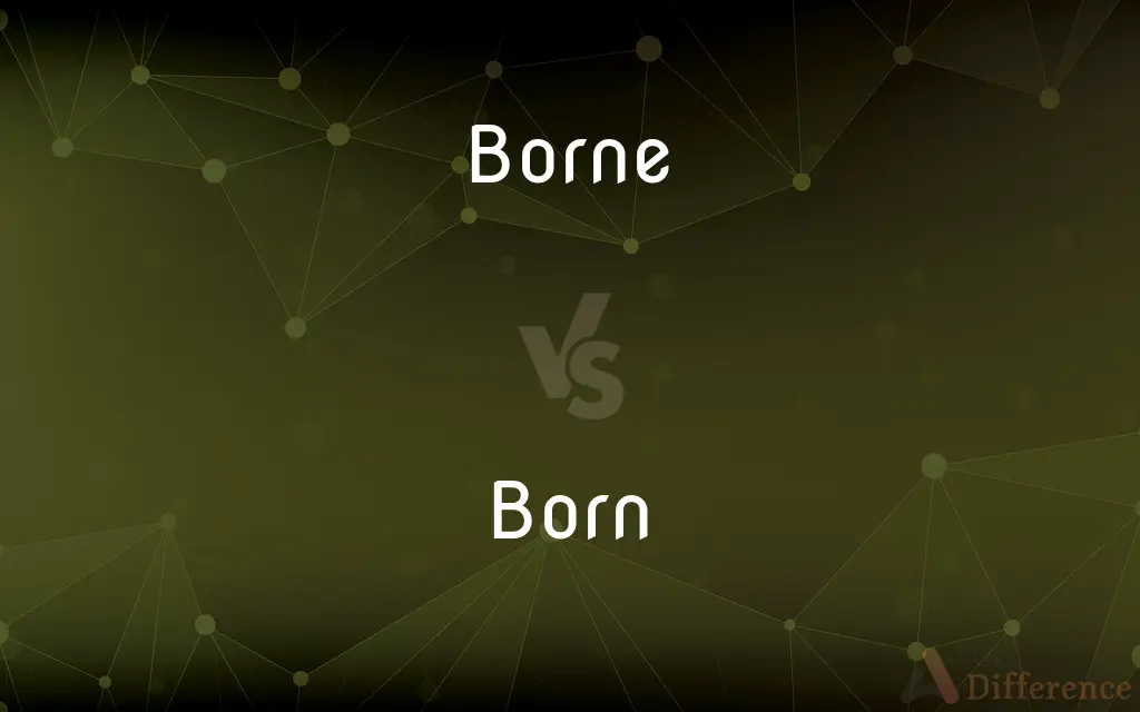 Borne vs. Born — What's the Difference?