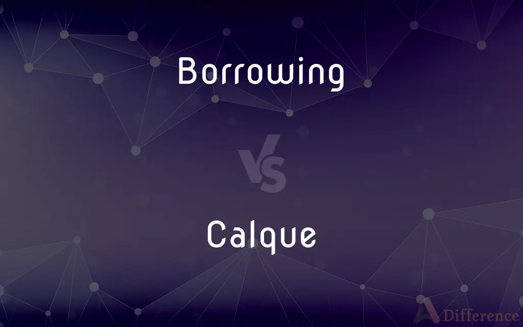 Borrowing vs. Calque — What's the Difference?