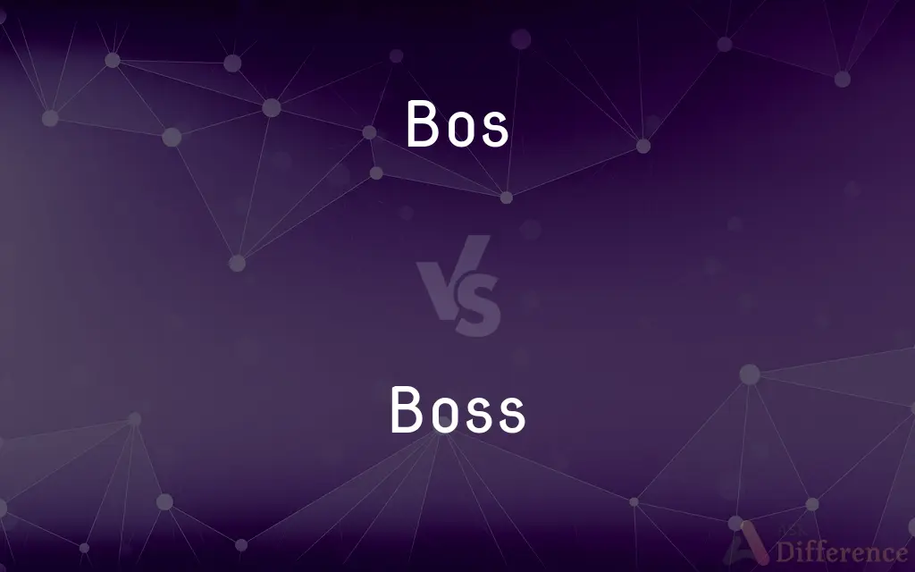 Bos vs. Boss — Which is Correct Spelling?