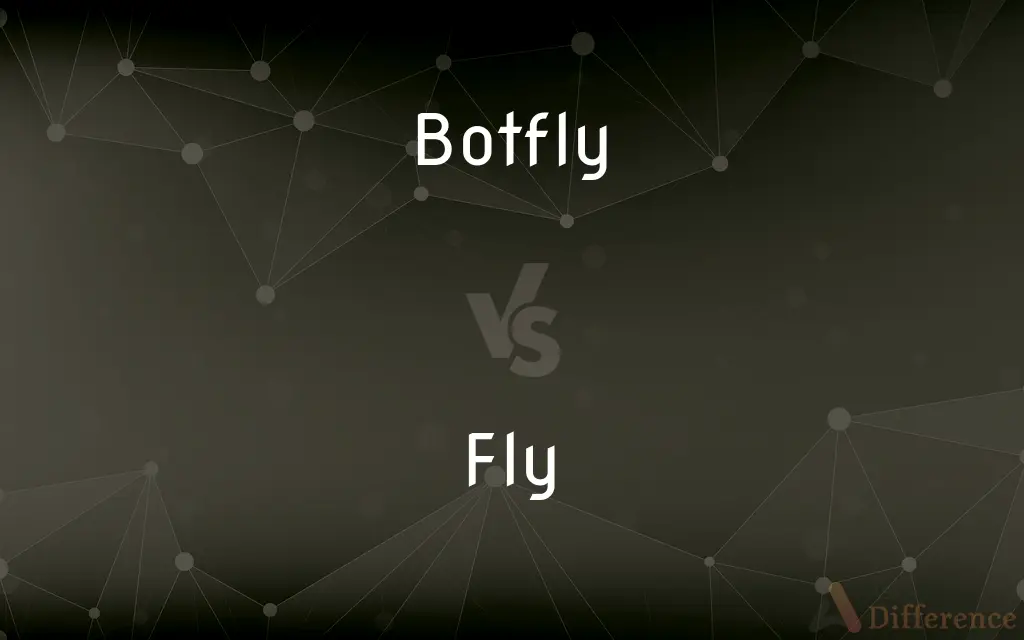 Botfly vs. Fly — What's the Difference?