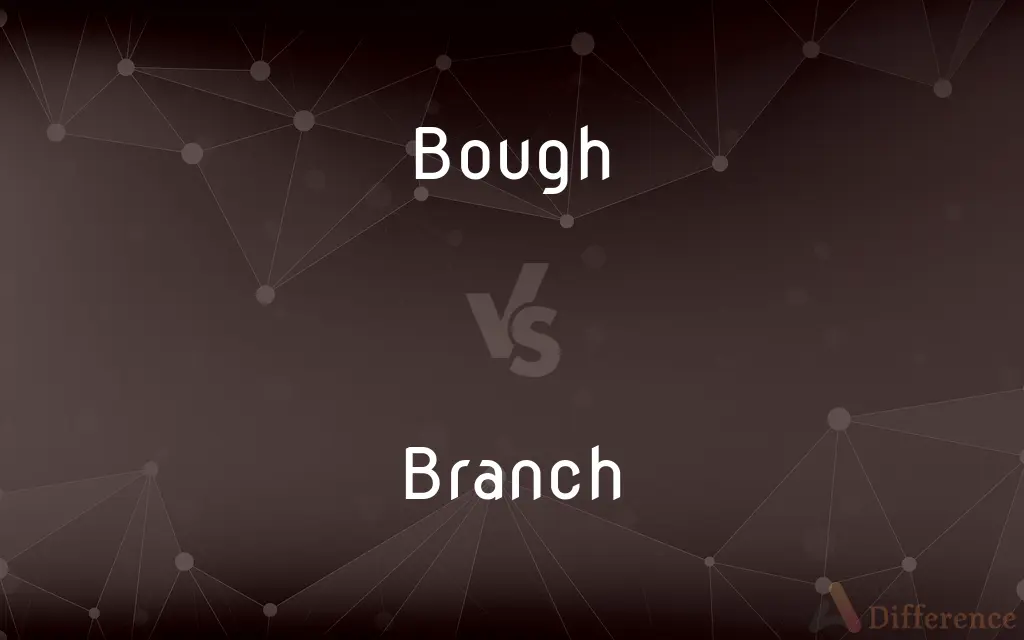 Bough vs. Branch — What's the Difference?