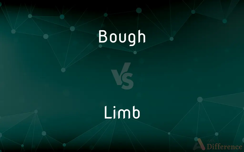 Bough vs. Limb — What's the Difference?