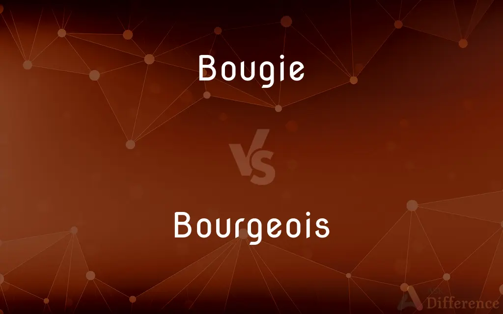 Bougie vs. Bourgeois — What's the Difference?