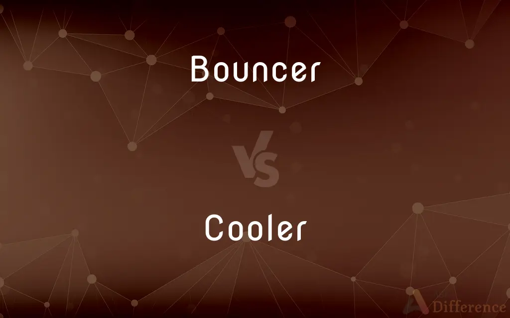 Bouncer vs. Cooler — What's the Difference?