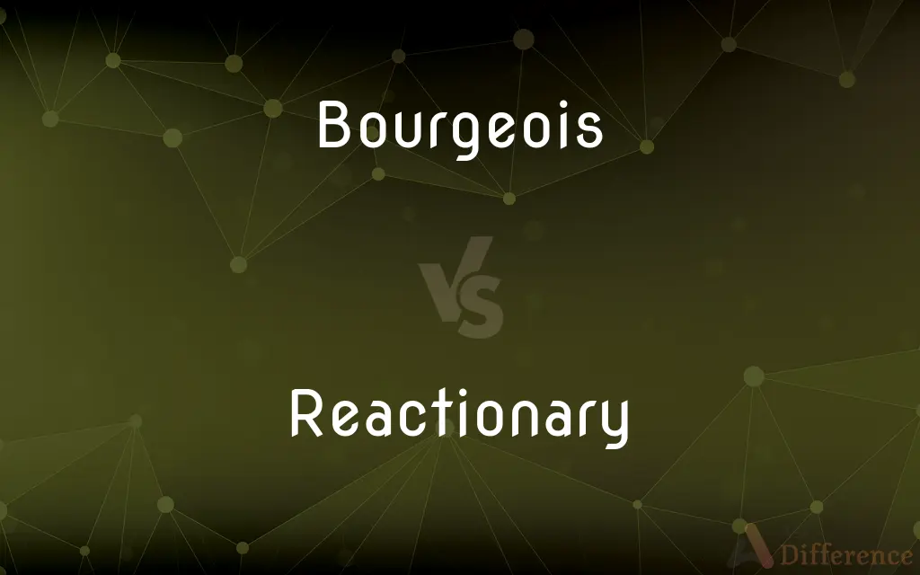 Bourgeois vs. Reactionary — What's the Difference?