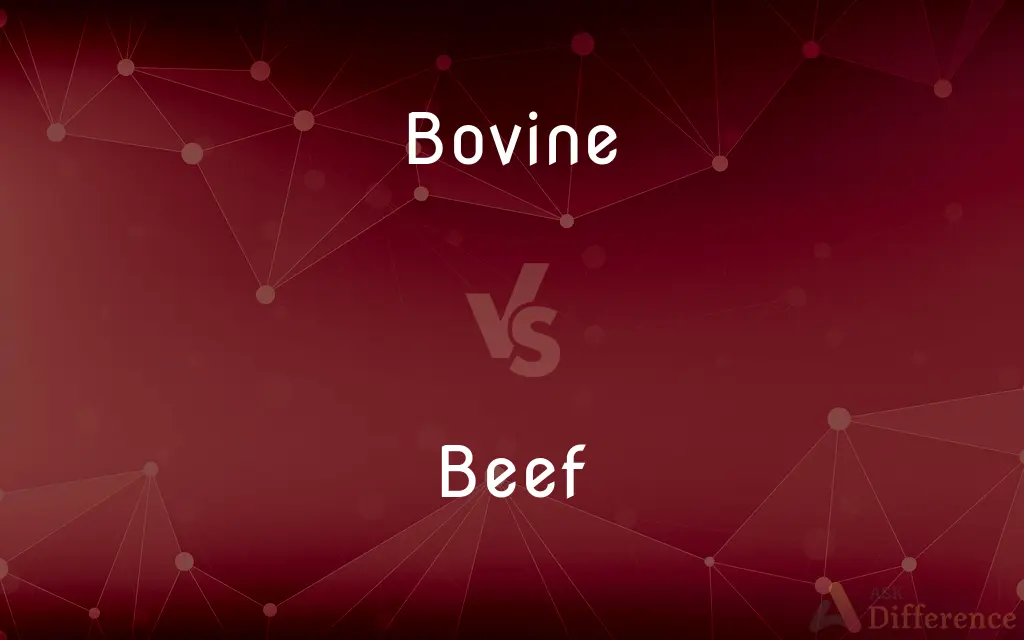 Bovine vs. Beef — What's the Difference?