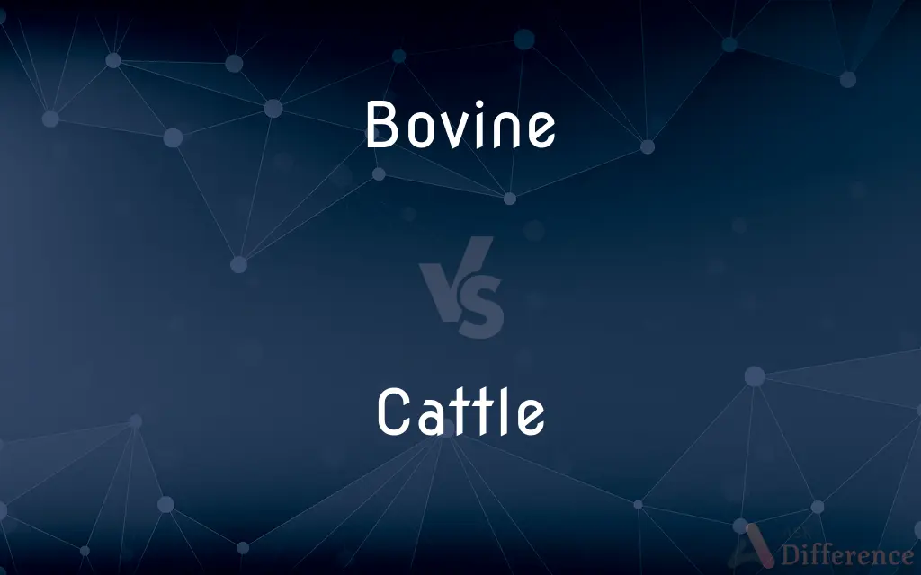 Bovine vs. Cattle — What's the Difference?