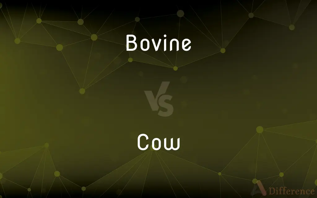 Bovine vs. Cow — What's the Difference?