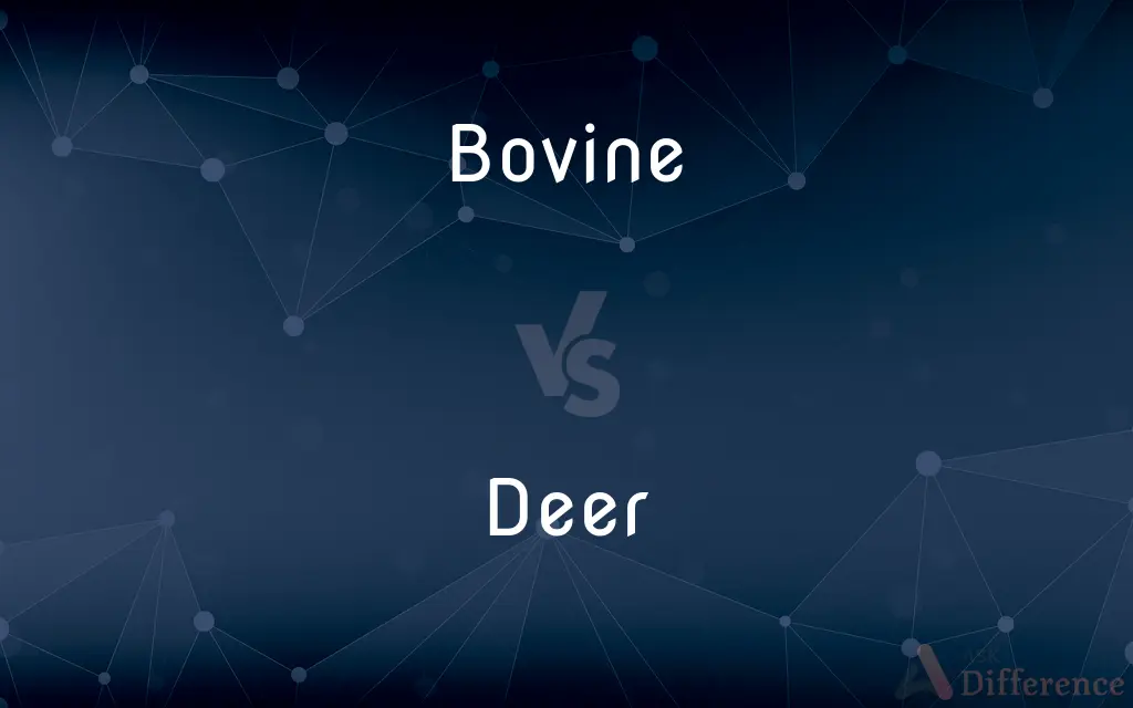 Bovine vs. Deer — What's the Difference?