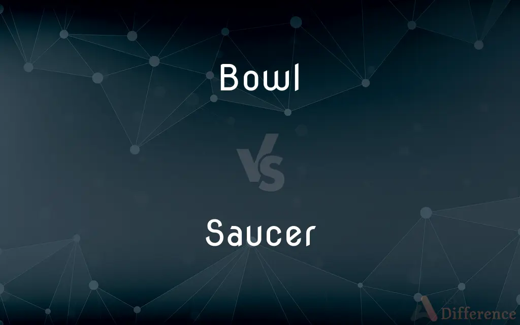 Bowl vs. Saucer — What's the Difference?