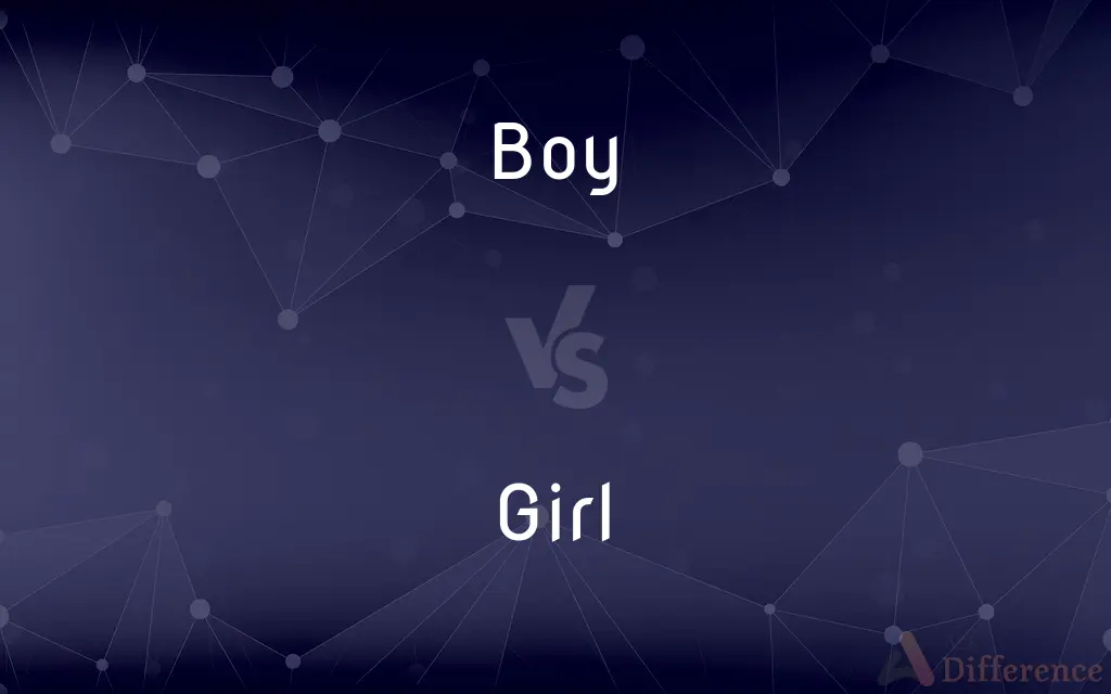 Boy vs. Girl — What's the Difference?