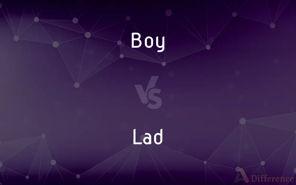 Boy vs. Lad — What's the Difference?