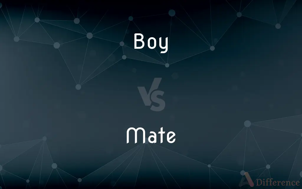 Boy vs. Mate — What's the Difference?