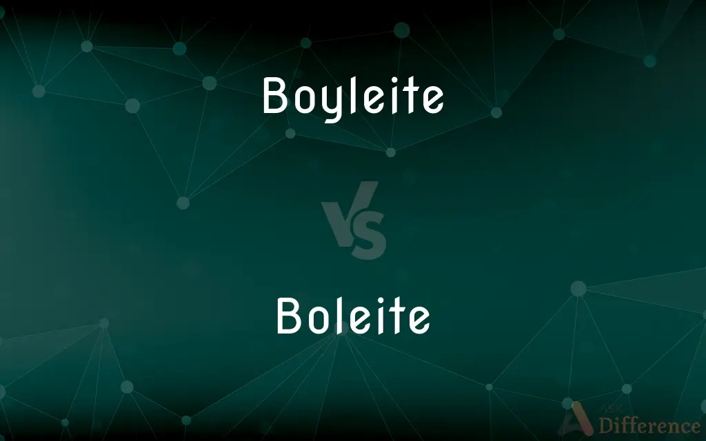 Boyleite vs. Boleite — What's the Difference?