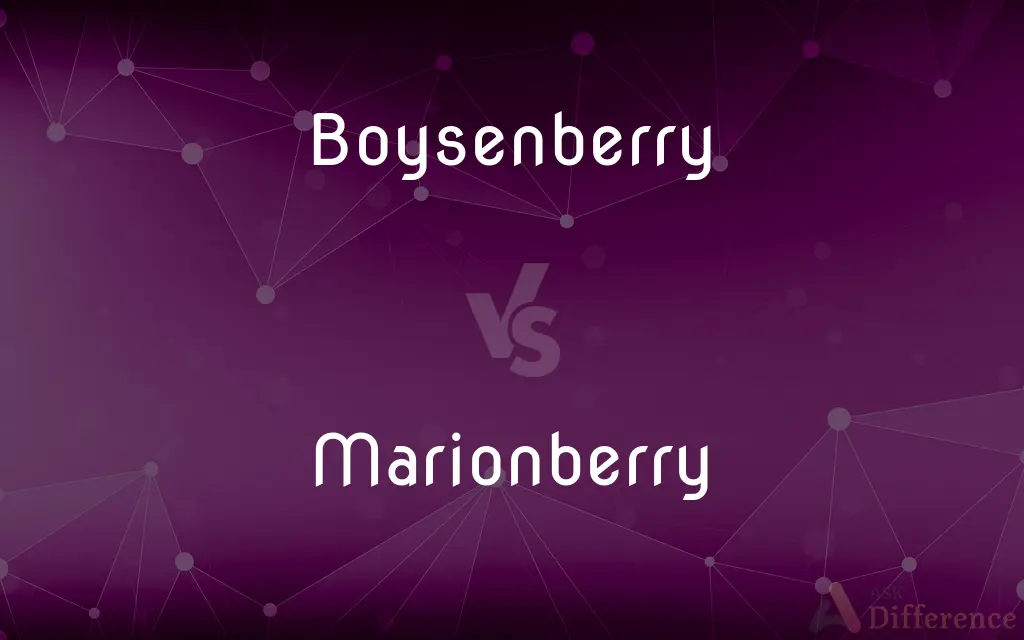 Boysenberry vs. Marionberry — What's the Difference?
