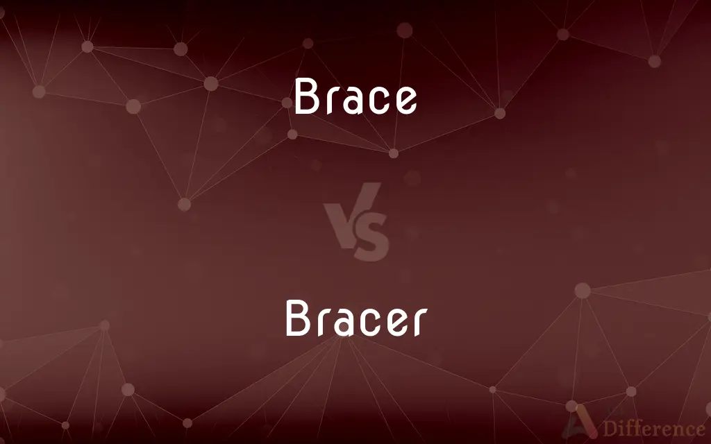 Brace vs. Bracer — What's the Difference?