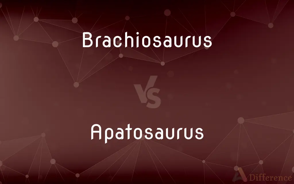 Brachiosaurus vs. Apatosaurus — What's the Difference?