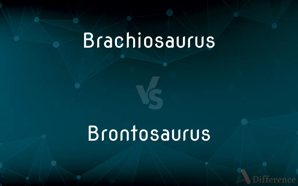 Brachiosaurus vs. Brontosaurus — What's the Difference?