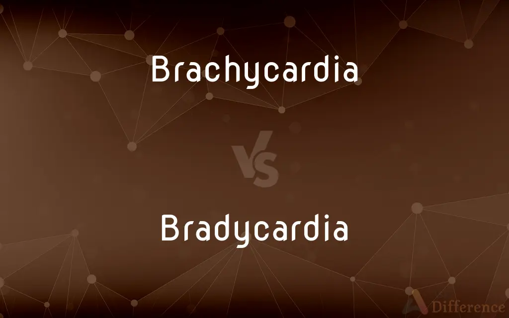 Brachycardia vs. Bradycardia — Which is Correct Spelling?