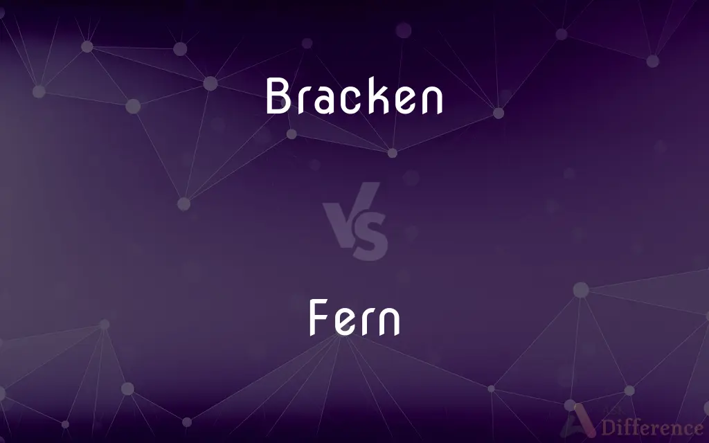 Bracken vs. Fern — What's the Difference?