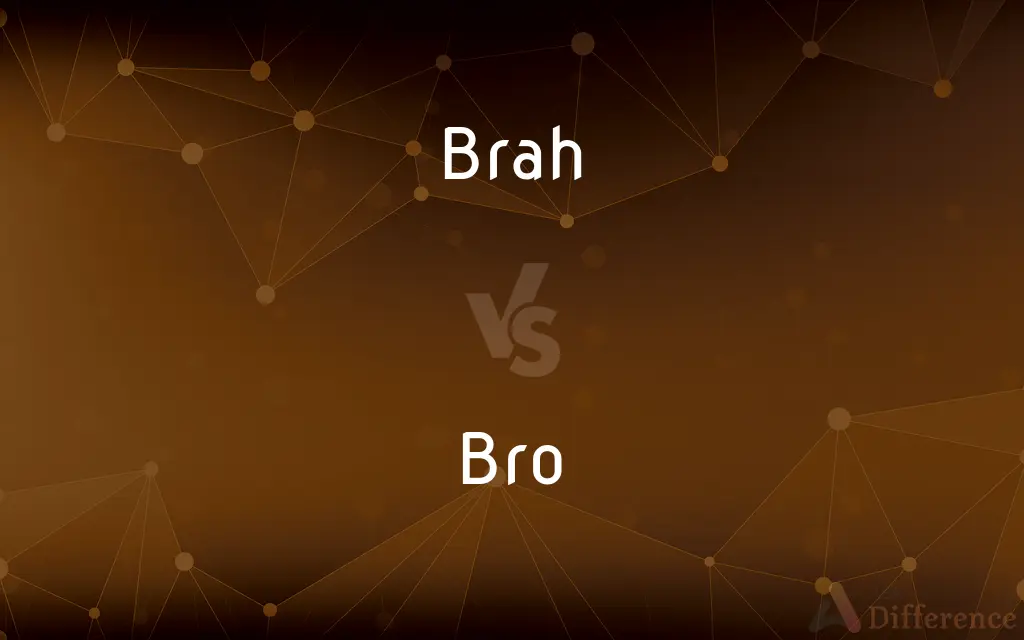 Brah vs. Bro — What's the Difference?