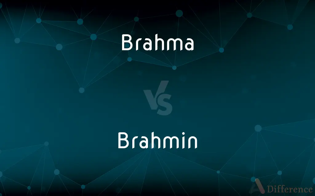 Brahma vs. Brahmin — What's the Difference?