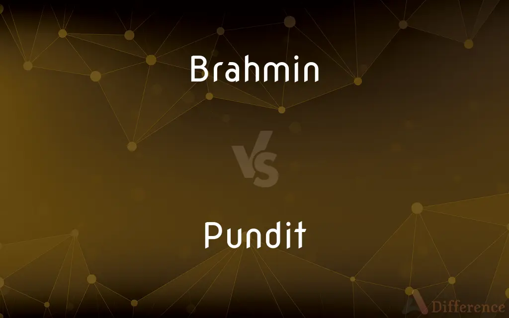 Brahmin vs. Pundit — What's the Difference?