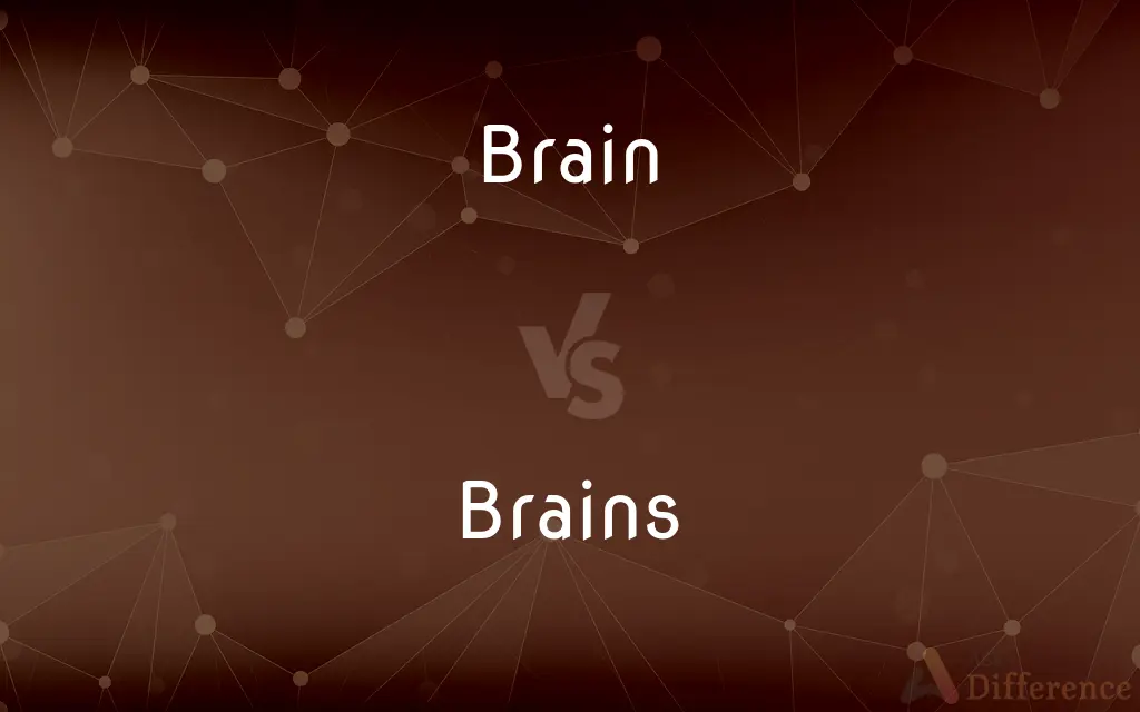 Brain vs. Brains — What's the Difference?