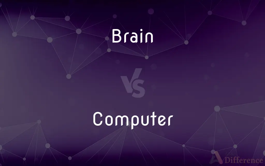 Brain vs. Computer — What's the Difference?
