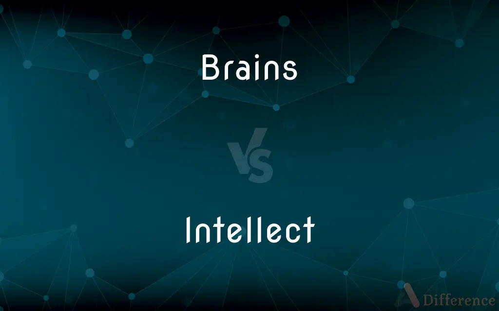 Brains vs. Intellect — What's the Difference?