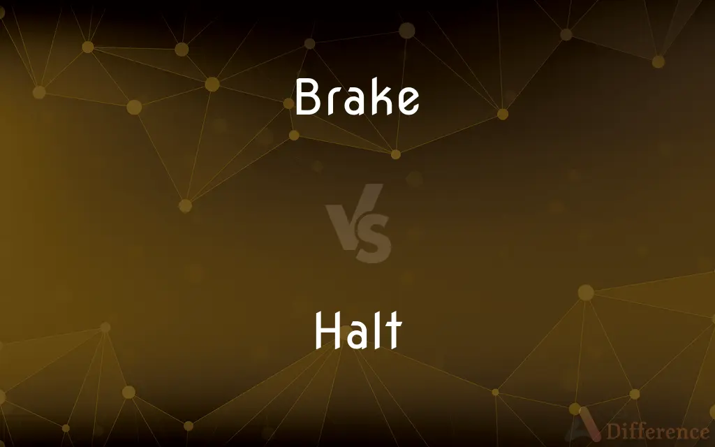 Brake vs. Halt — What's the Difference?