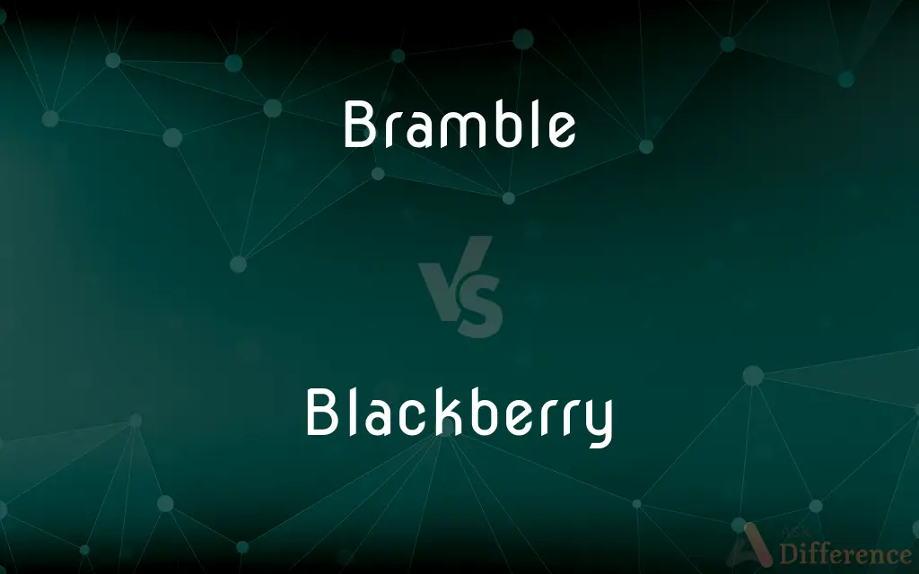 Bramble vs. Blackberry — What's the Difference?