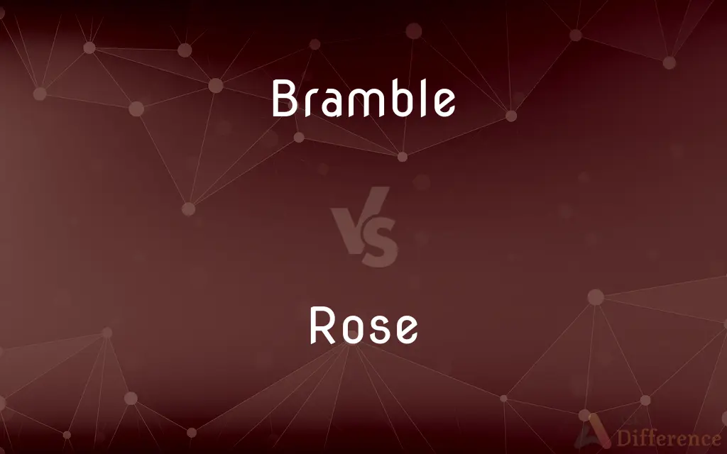 Bramble vs. Rose — What's the Difference?